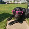 follow for follow - @lunaford - TikTok