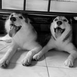 Luna Amari and Zaiden Ford - @luna_and_ford - Instagram