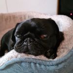 Luna Basia Surmacz - @lunaford29 - Instagram