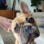 Luna Ford - @lunacoco_c - Instagram
