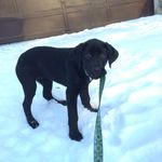 Luna Ford - @luna_ford - Instagram