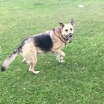 Luna Ford - @fordluna - Instagram