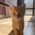 Luna Rae Ford - @lunaraeford - Instagram