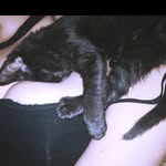 Luna Freeman - @damon_marx - Instagram
