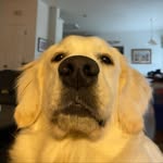 Luna Gallagher - @lunagirl333 - Instagram