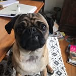 Luna Gallagher- Cho - @luna_gallagher_cho - Instagram