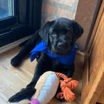 Luna Gardner - @lunalovesagood - Instagram