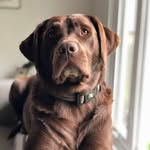 luna - @luna.garner_ - Instagram
