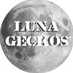Big G - @lunageckos - Instagram