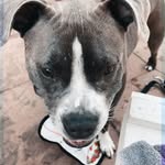 Luna Blue Glover - @luna._.glover - Instagram