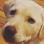 luna - @lunag.lover - Instagram