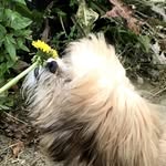 Luna - @lunaglover_01 - Instagram