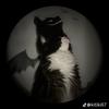 Depressed_girl9119 - @lunagrant2 - TikTok