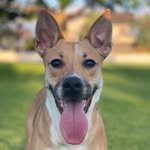 LUNA GRANT - @luna_da_lunatic_mix - Instagram