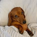 Luna Grant - Facebook