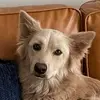 Luna Green - @smolblondefox - TikTok