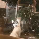 Luna.green - @lunag31 - Instagram
