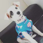 Luna Greer - @lunajennagreer - Instagram