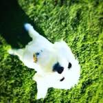 Luna Gregory - @lunagregory1 - Instagram
