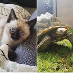 Luna + Haley + Twitch - @luna_haley_and_twitch - Instagram