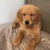 lunahaley06 - @lunahaley06 - TikTok