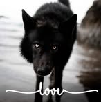 Luna Hansen - Facebook
