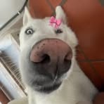 Luna Hart - Facebook
