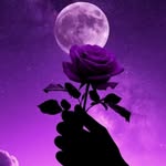 Luna Hart - @glamorous._.purple - Instagram