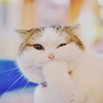 luna_hartmann - @luna_hartmann11 - Instagram