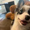 LunaHart - @luna.hart.426 - TikTok