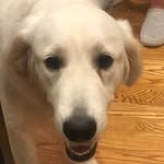Luna Heathman - @luna_heathman - Instagram