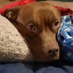 Luna Marie Hebert - Facebook