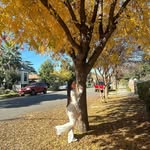 Luna Herrera - @lunaherrera2708 - Instagram