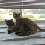 Luna and Sebastian Herron - @luna.sebastian__herron - Instagram