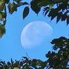 Luna_Heron - @luna_heron - TikTok