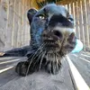 Luna Home 68 - @lunahome.68 - TikTok