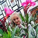 Luna Hoffman - @lunahoffmann695 - Instagram