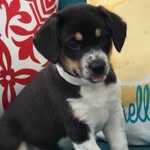 Luna Hoffman - @_luna_hoffman_ - Instagram