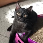Luna Hoffman - @luna_tuna32 - Instagram