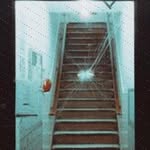 Carmelina Borgmann - @lunaholthaus145 - Instagram