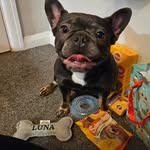 Luna Holt - @luna.likes.socks - Instagram