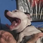 Luna Huff - @luna_pup_woof - Instagram
