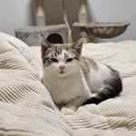 @luna_hufflepuff_24 - Instagram