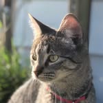 Luna Huffman - @lunaxhuffman - Instagram