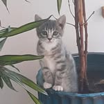 Luna - @luna._.hufford - Instagram