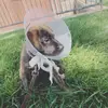 Luna The Hufflefluff - @lunathehufflefluff - TikTok
