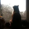 LunyHufflepuffAtHeart - @lunahufflepuffatheart - TikTok