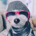 Luna Hunt - @lunadogisfeisty2011 - Instagram