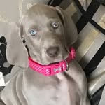 luna Naish - @luna_hunterspirit - Instagram
