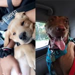 Luna & Hunter Chronicles - @luna_hunter_123 - Instagram
